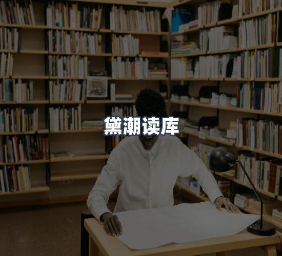 关于黛潮读库
